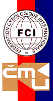 logo.gif