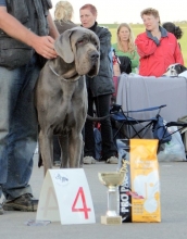 CERBERUS de la Benjamine - Ch.CZ, JCh.CZ