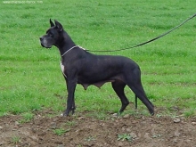 PLATINA des Terres de la Rairie