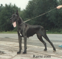 ULTIMATE des Terres de la Rairie