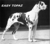 EASY Topaz - CIB, Ch.Lux, A, VDH